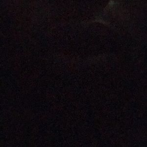 Meet your Posher, Desmond